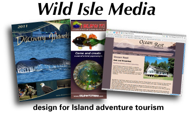 Wild Isle Media graphic design
