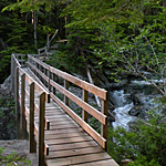 Bridge over Thelwood Creek, Strathcona Park
