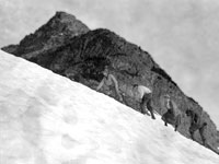 Ascending Crown Mountain courtesy Museum at Campbell River