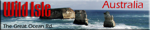Wild Isle the islands' adventure magazine